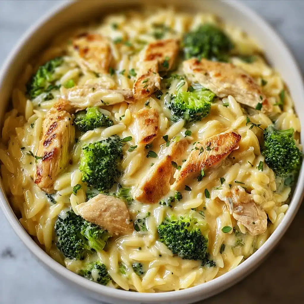 Cheesy Chicken Broccoli Orzo Recipe