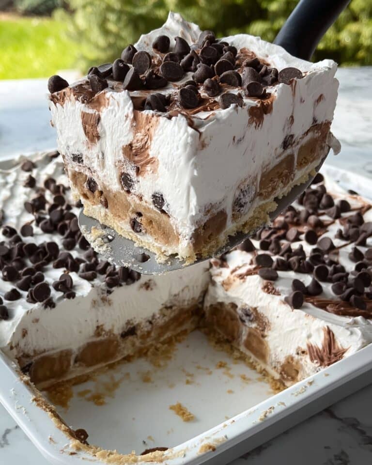 Chocolate Chip Cookie Delight Recipe