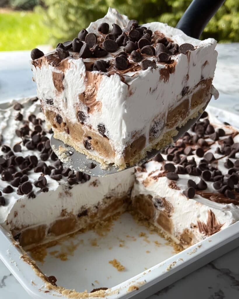 Chocolate Chip Cookie Delight Recipe