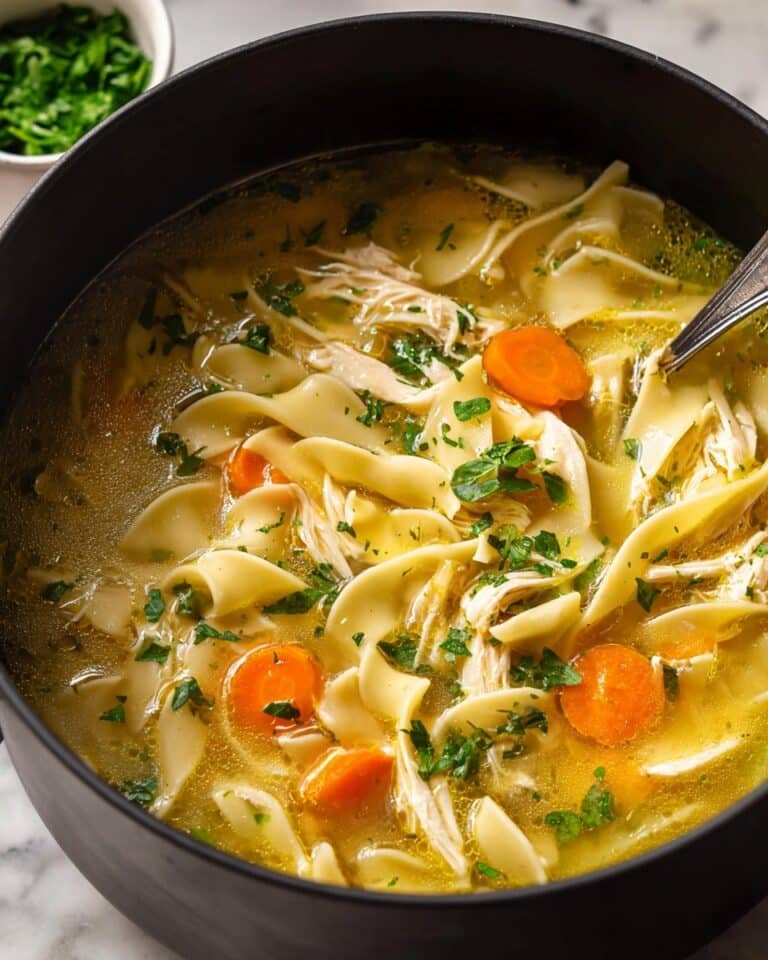 Homemade Chicken Noodle Soup Recipe