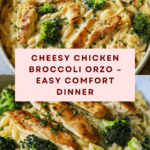 Cheesy Chicken Broccoli Orzo Recipe