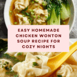 Wonton Soup Recipe