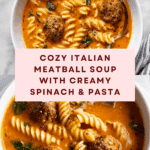 Meatball Soup Recipe