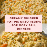 Creamy Chicken Pot Pie Orzo Recipe