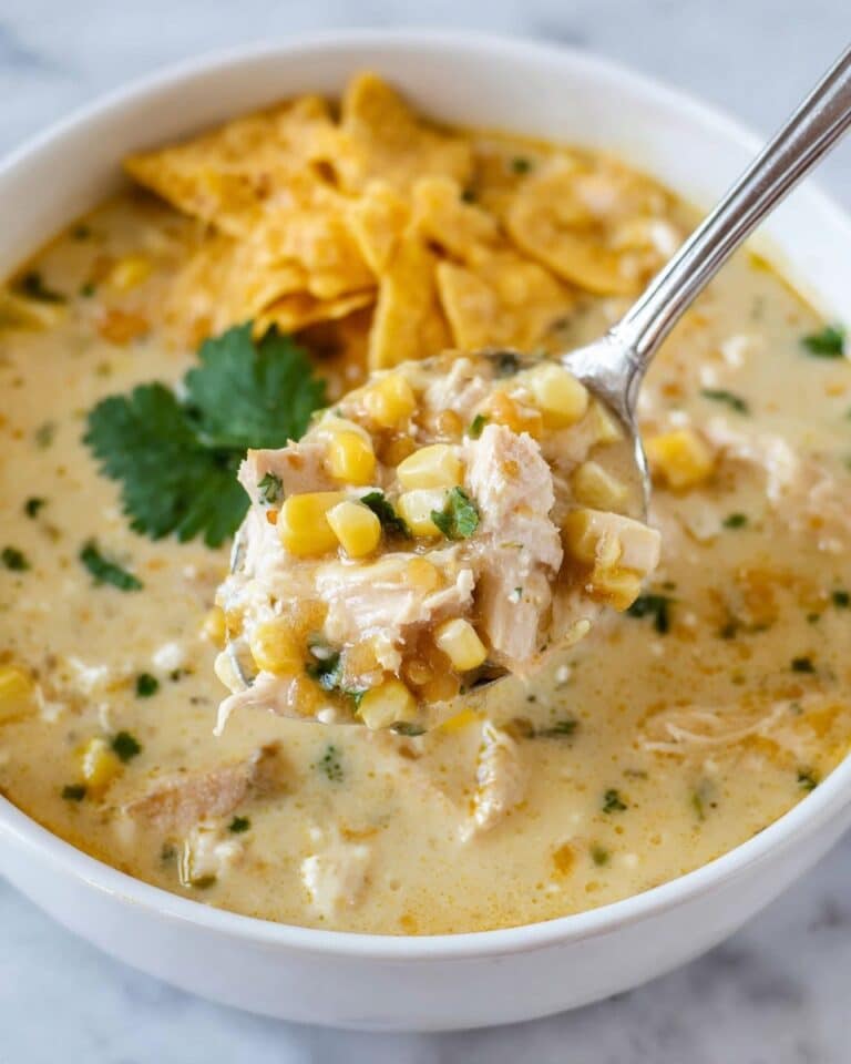 Green Enchilada Chicken Soup Recipe