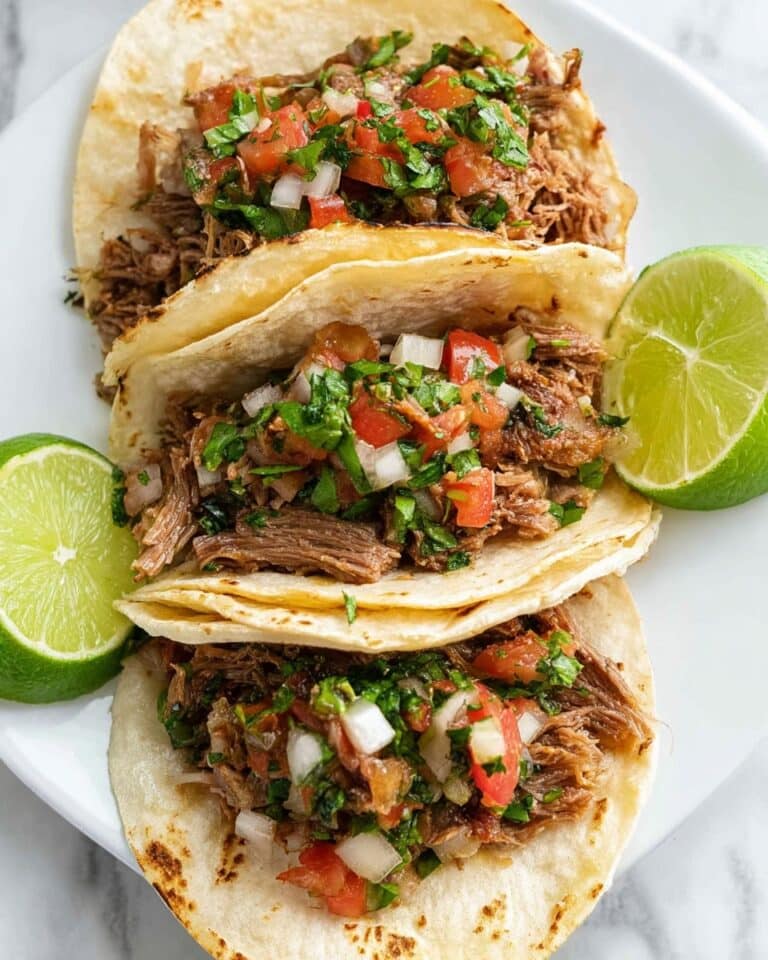 Mexican Shredded Beef {Easy, Crock Pot or Instant Pot Recipe} Recipe